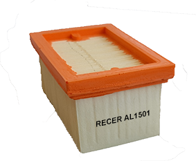  AR - MOTOR 